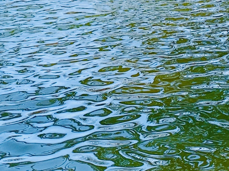 IMG_9884.jpg?type=w966