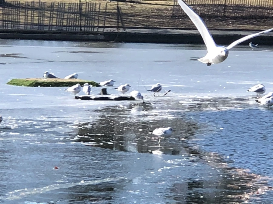 IMG_6632.jpg?type=w966