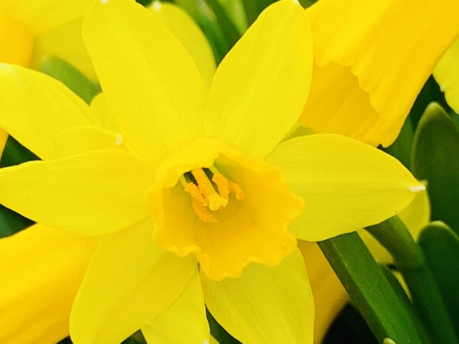 IMG_3477.jpg?type=w966