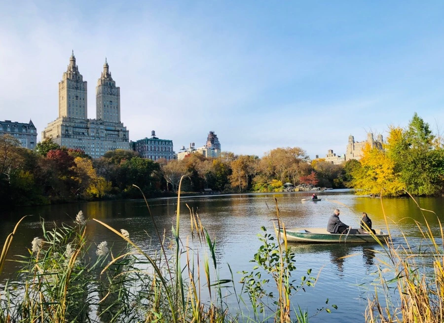 IMG_7530.jpg?type=w966