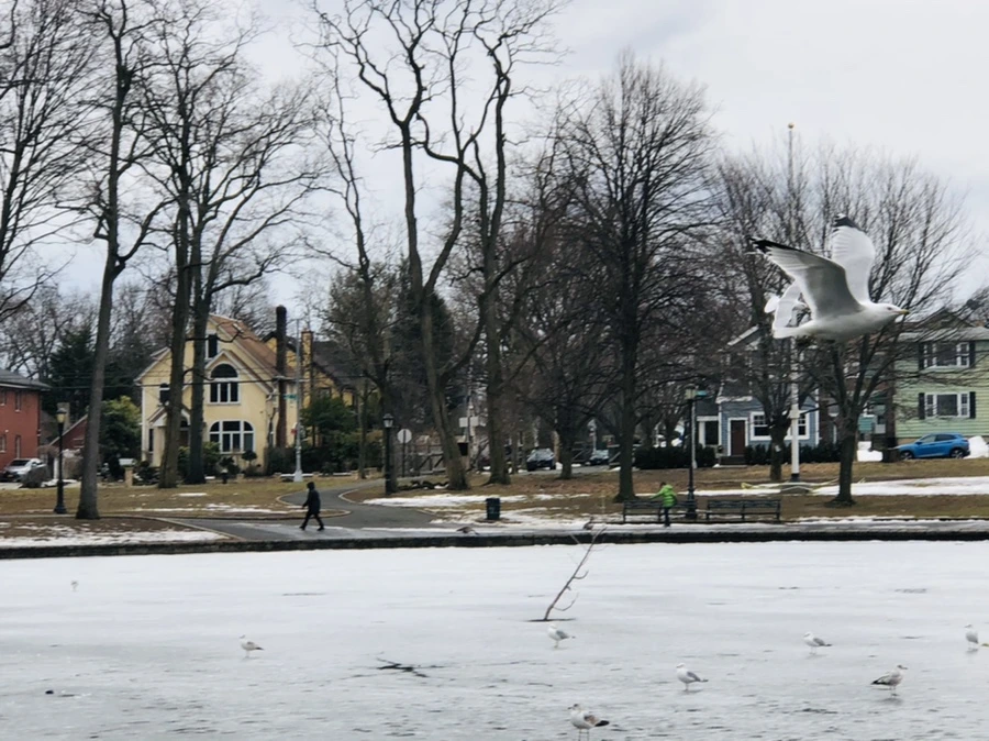 IMG_6040.jpg?type=w966