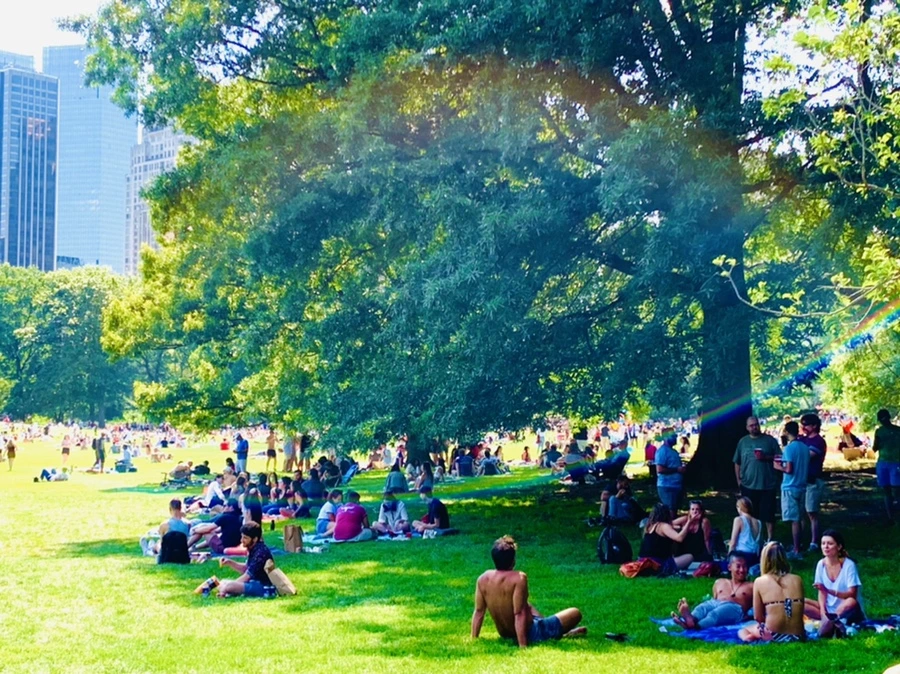 IMG_4412.jpg?type=w966