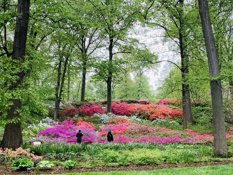 IMG_0301.jpg?type=w966