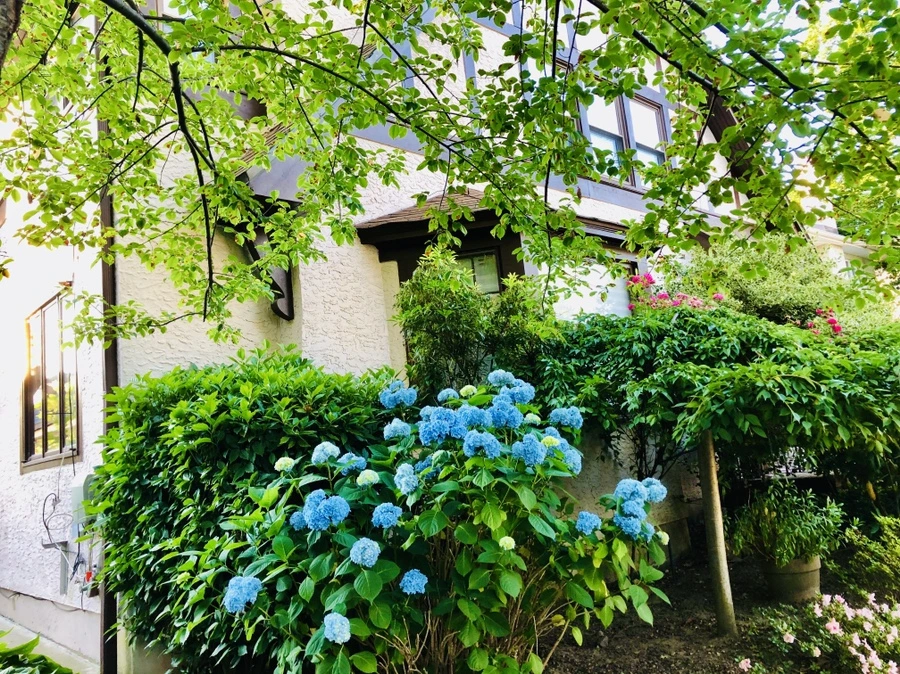 IMG_0356.jpg?type=w966