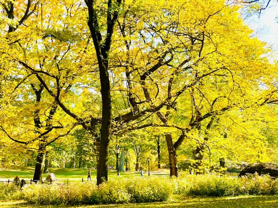 IMG_1578.jpg?type=w966