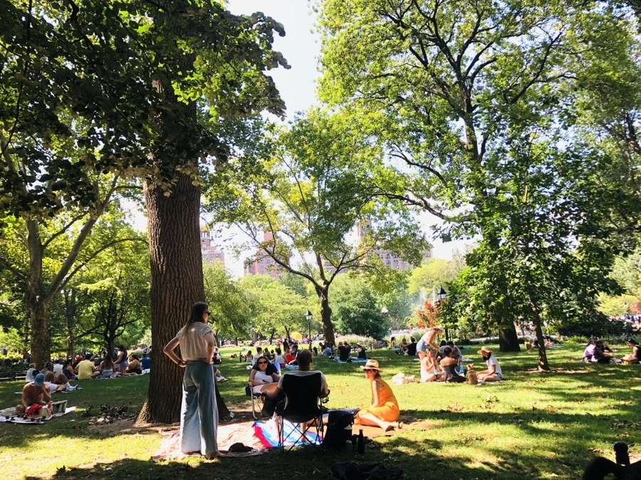 IMG_6383.jpg?type=w966