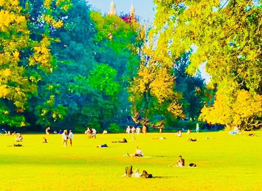 IMG_1528.jpg?type=w966