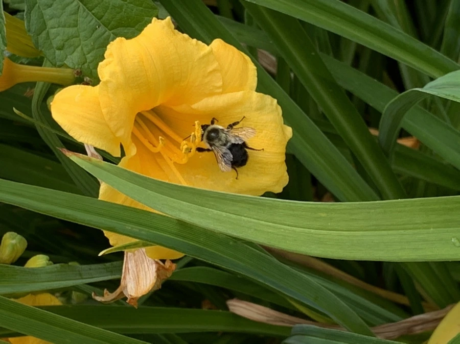 IMG_6030.jpg?type=w966