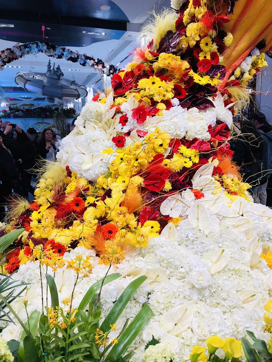 IMG_1813.jpg?type=w966