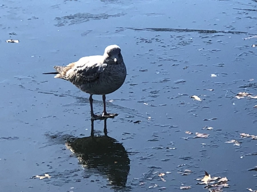 IMG_6613.jpg?type=w966