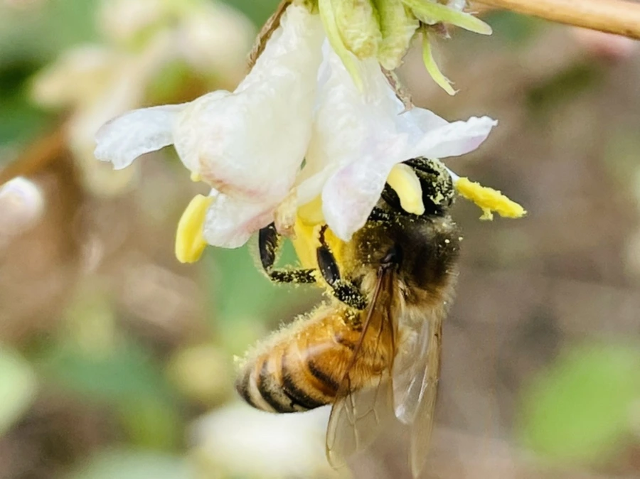 IMG_5185.jpg?type=w966