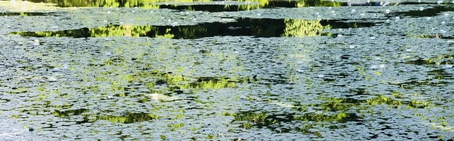 m2YrVghpt76Sr6dM1h1dDmltYUg