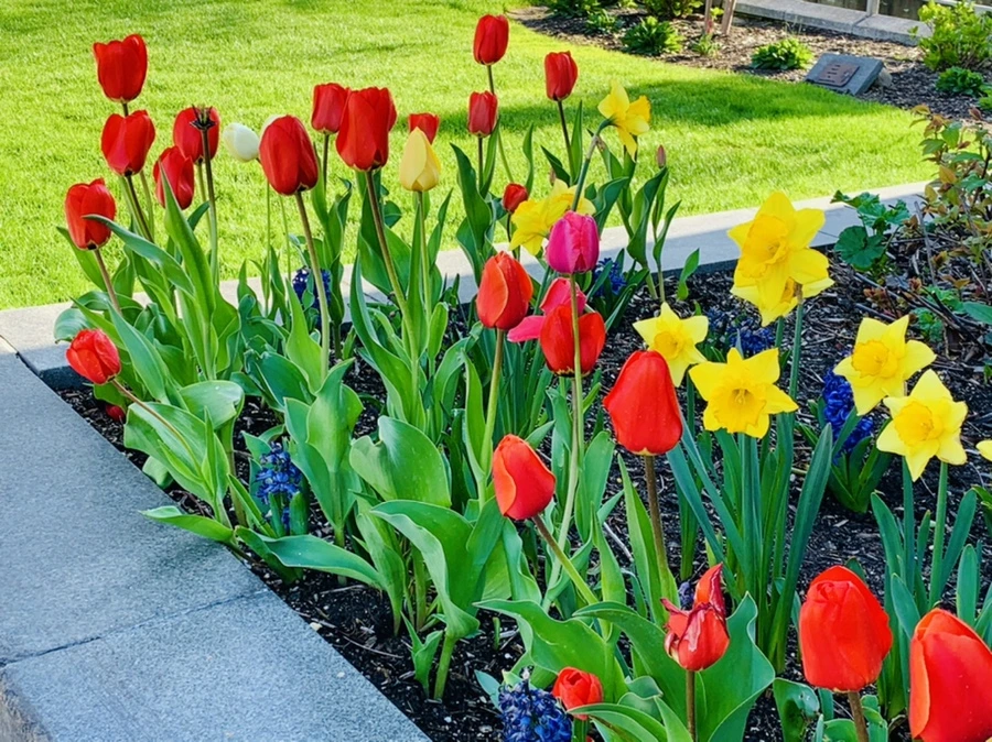 IMG_5061.jpg?type=w966