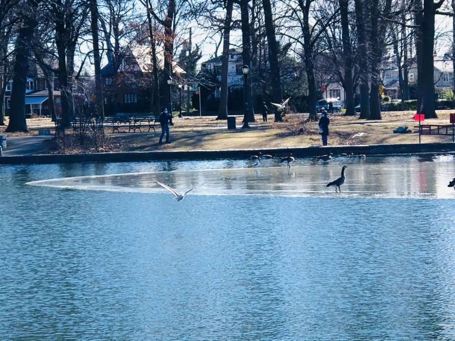 IMG_5328.jpg?type=w966