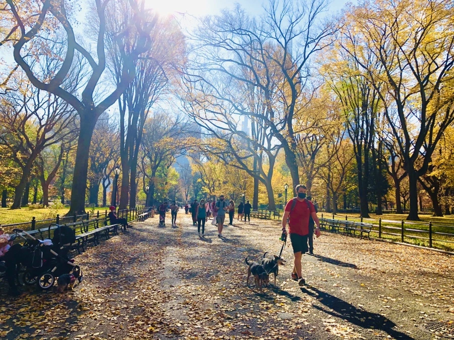 IMG_4259.jpg?type=w966