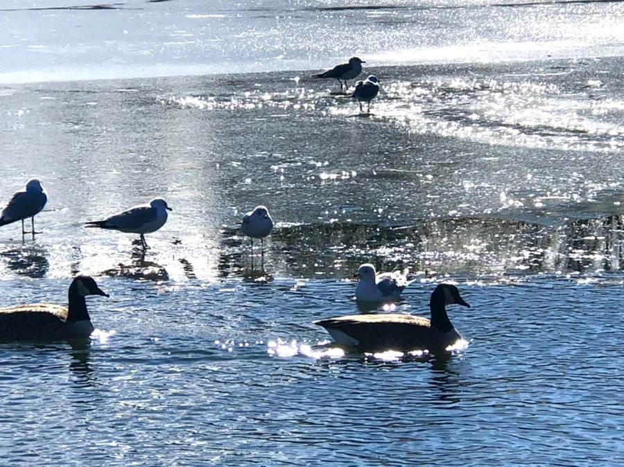 IMG_6858.jpg?type=w966