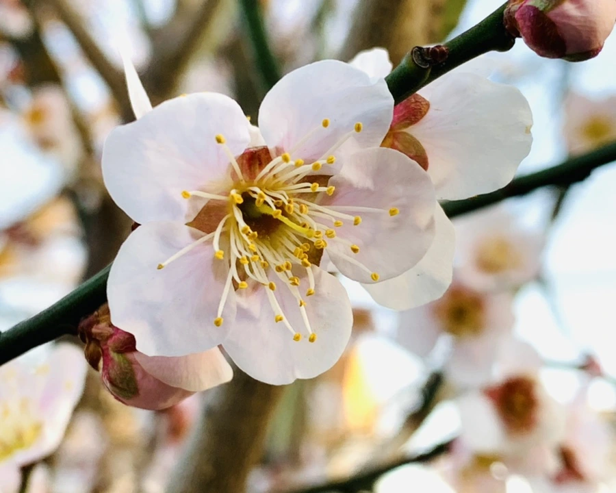 IMG_2736.jpg?type=w966