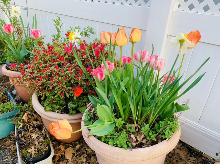 IMG_3573.jpg?type=w966