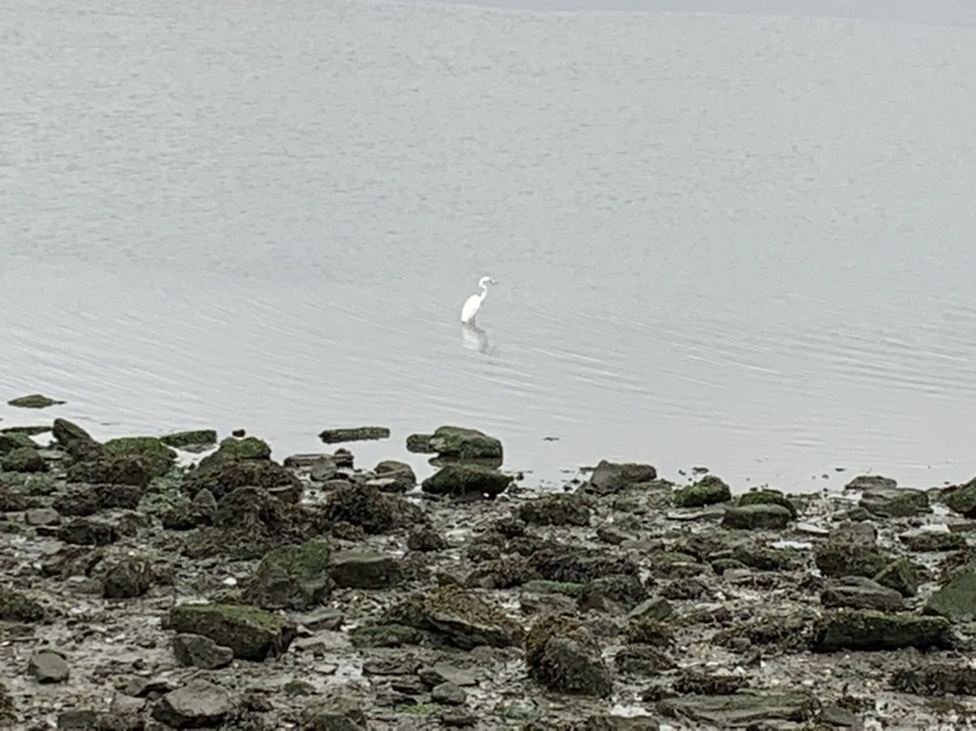 IMG_3632.jpg?type=w966