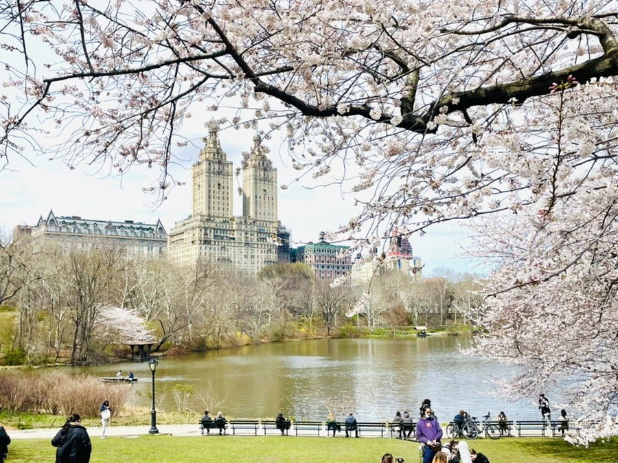 IMG_8827.jpg?type=w966