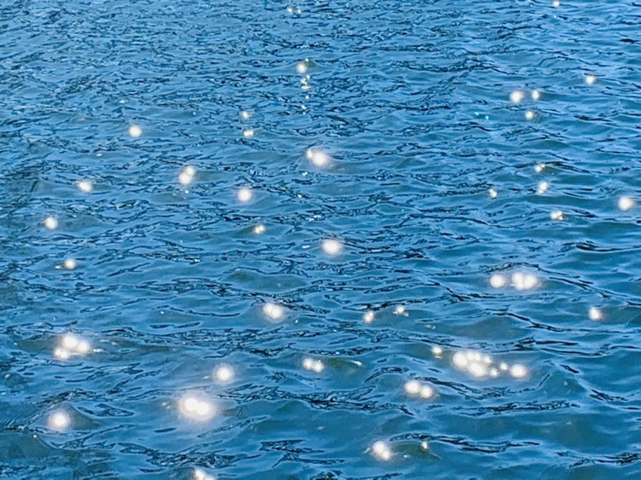 IMG_7542.jpg?type=w966