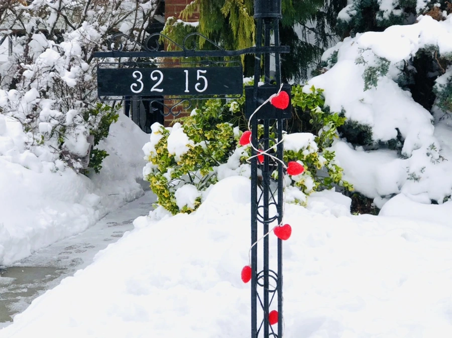 IMG_9054.jpg?type=w966