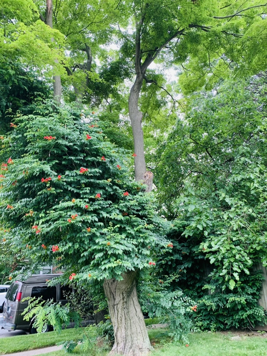 IMG_6931.jpg?type=w966