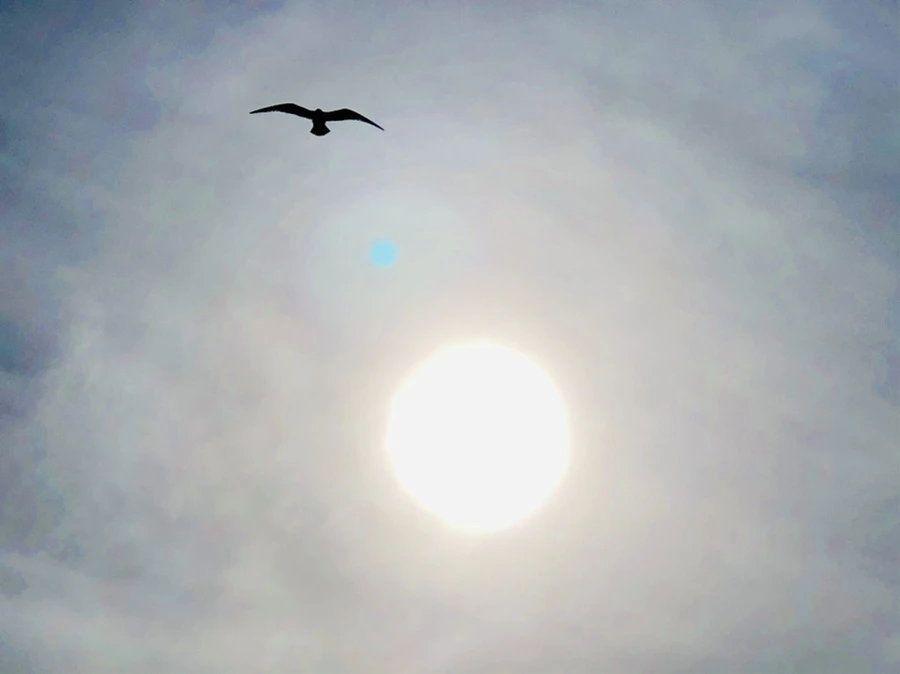 IMG_3119.jpg?type=w966