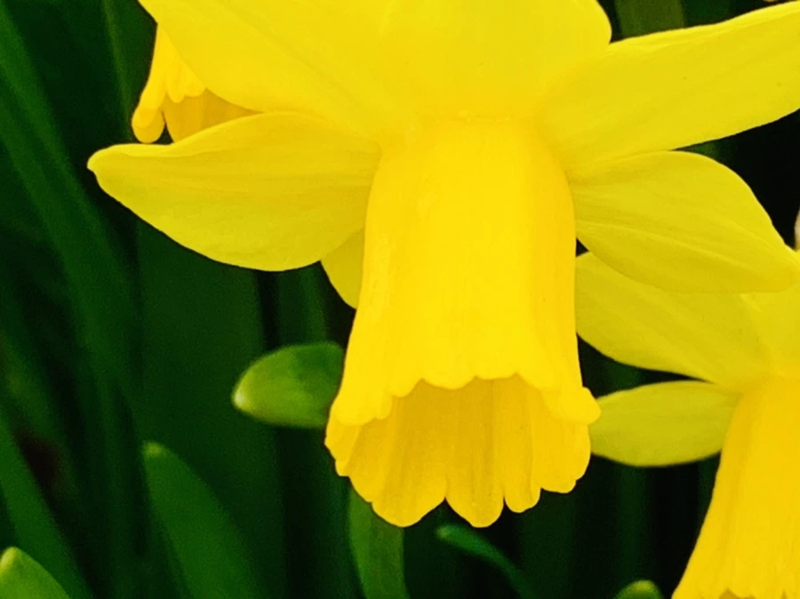 IMG_4042.jpg?type=w966