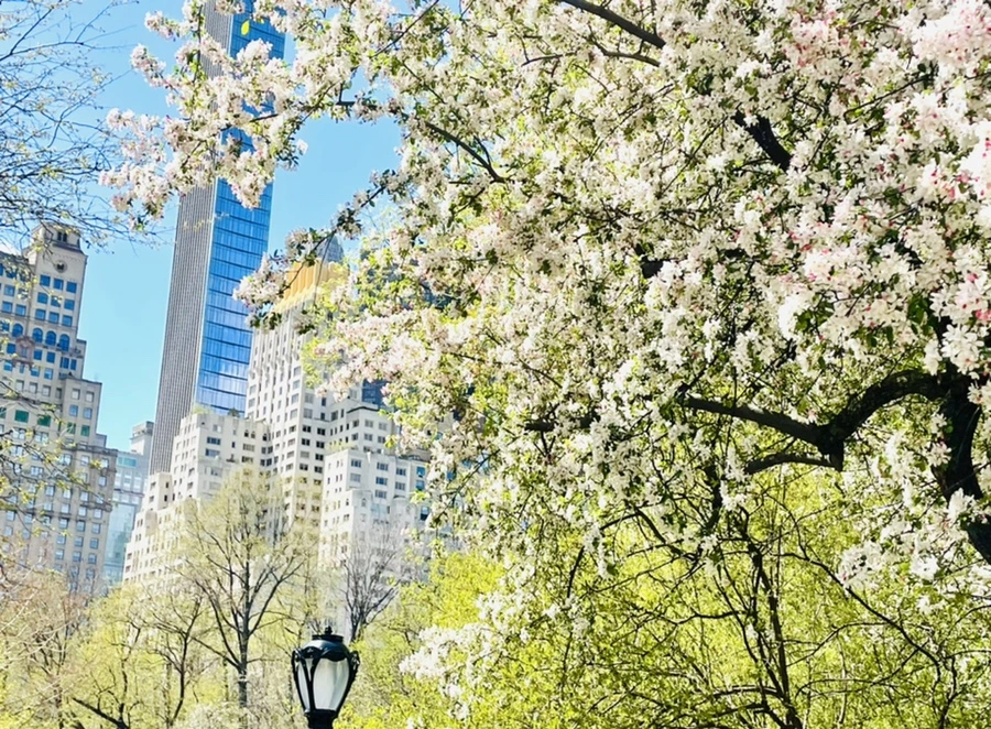 IMG_1101.jpg?type=w966