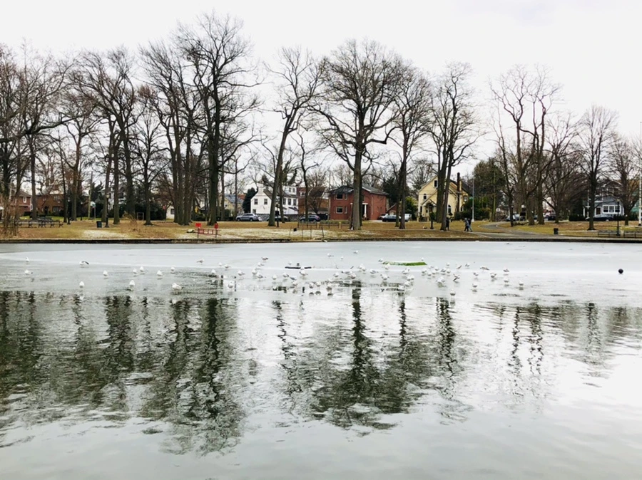 IMG_6405.jpg?type=w966