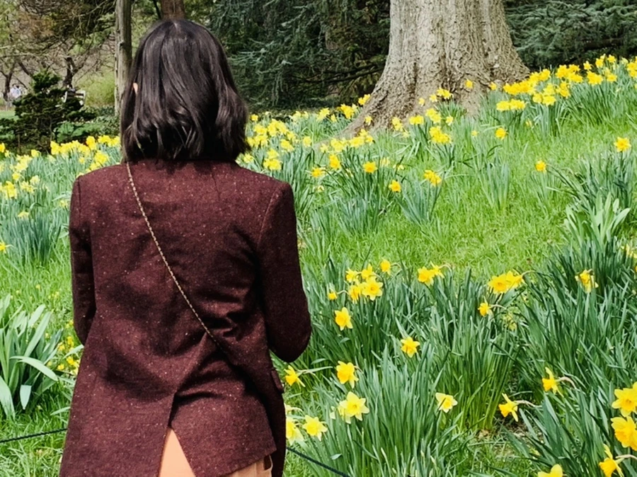 IMG_7277.jpg?type=w966