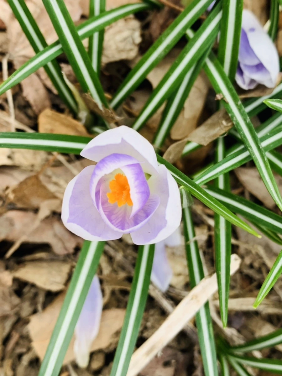 IMG_3517.jpg?type=w966