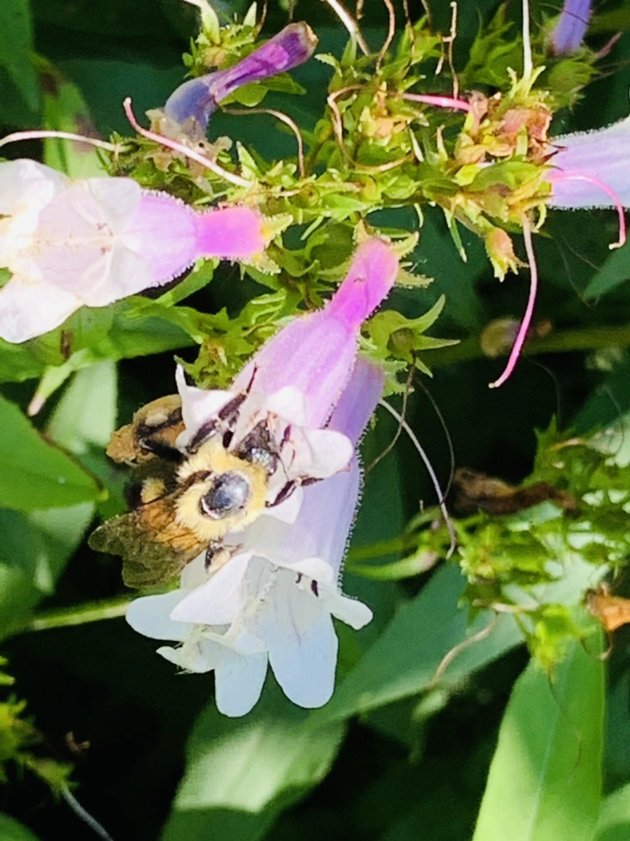 IMG_4712.jpg?type=w966