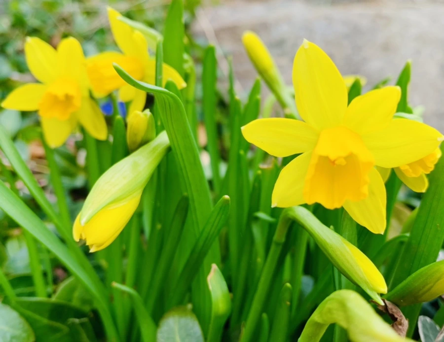 IMG_3198.jpg?type=w966