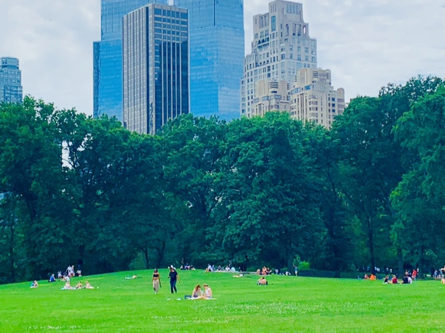 IMG_1567.jpg?type=w966