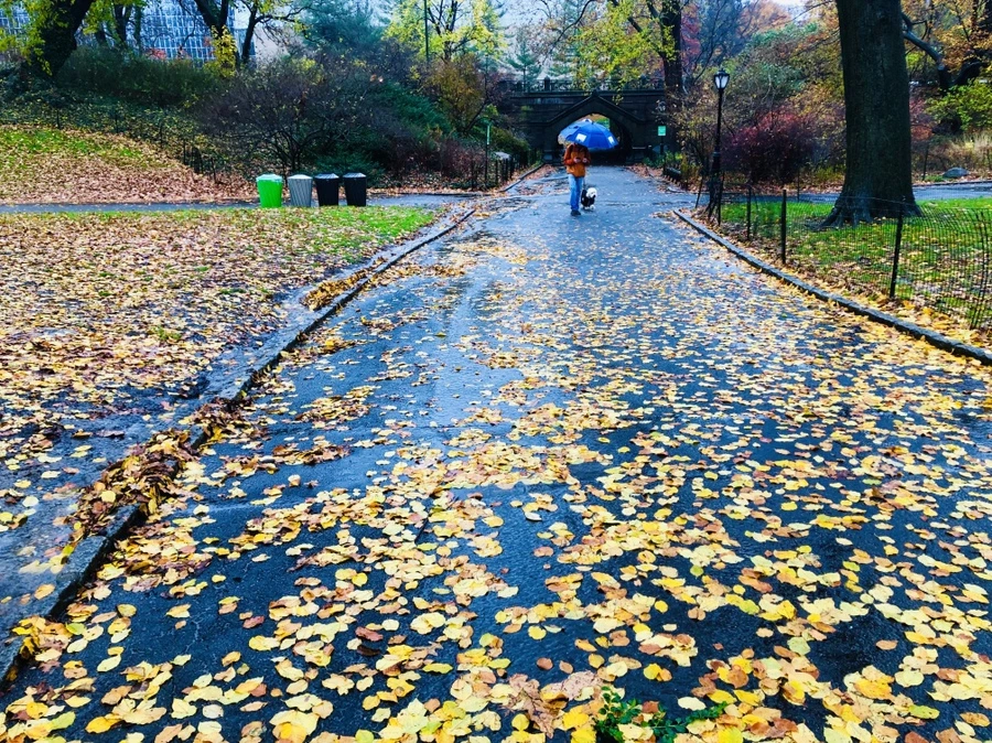 IMG_5719.jpg?type=w966