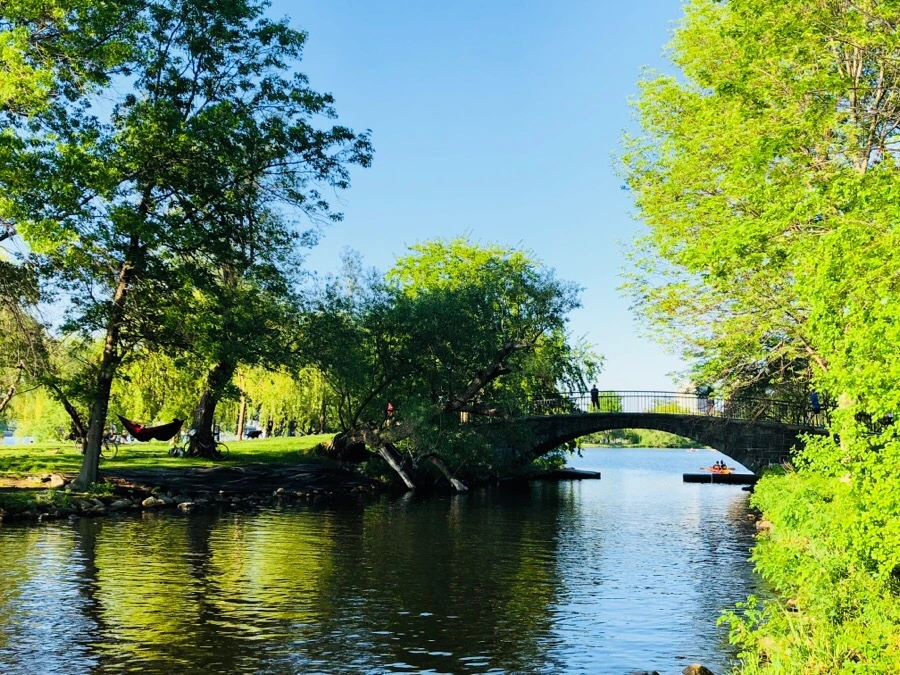 IMG_6774.jpg?type=w966