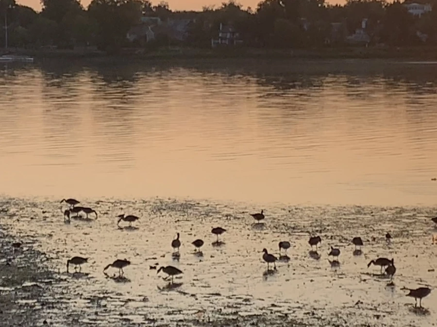 IMG_9584.jpg?type=w966