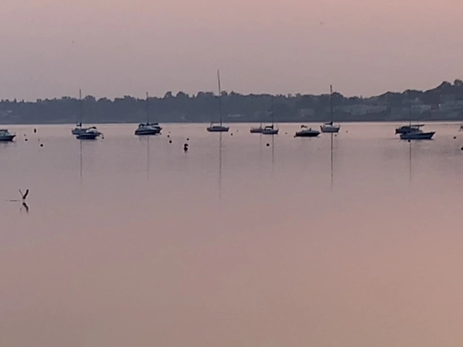 IMG_2049.jpg?type=w966