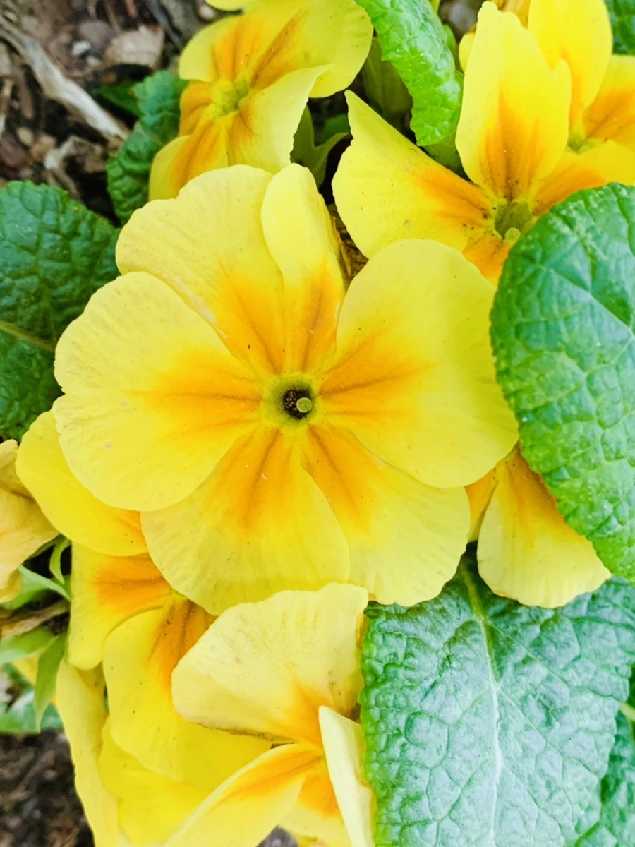 IMG_9029.jpg?type=w966