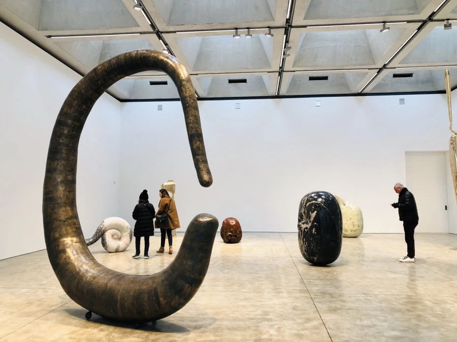 IMG_5527.jpg?type=w966