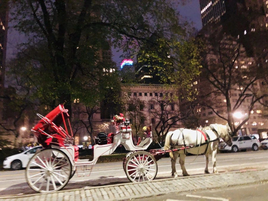 IMG_5189.jpg?type=w966