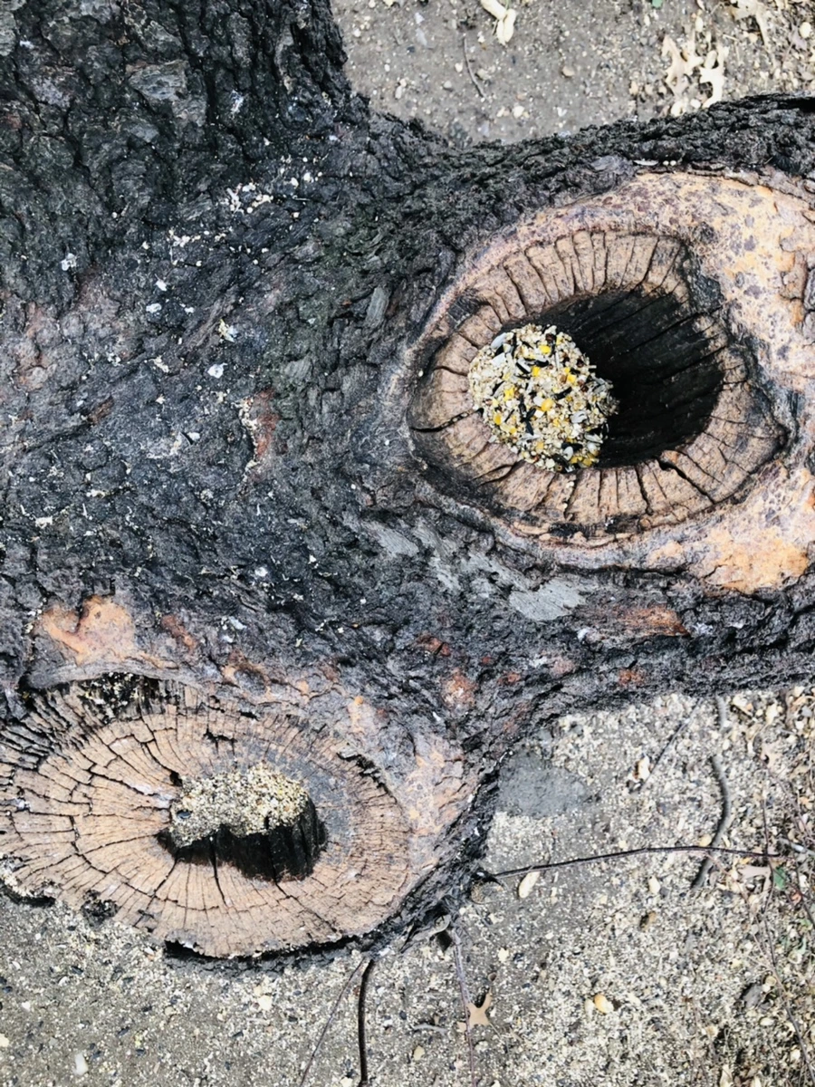 IMG_0070.jpg?type=w966