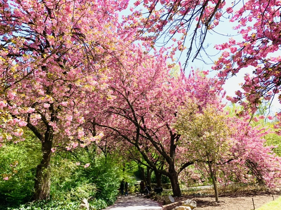 IMG_6407.jpg?type=w966