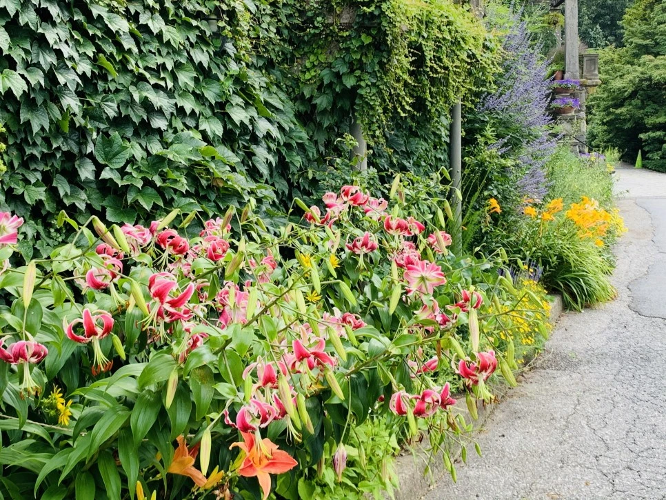 IMG_9350.jpg?type=w966