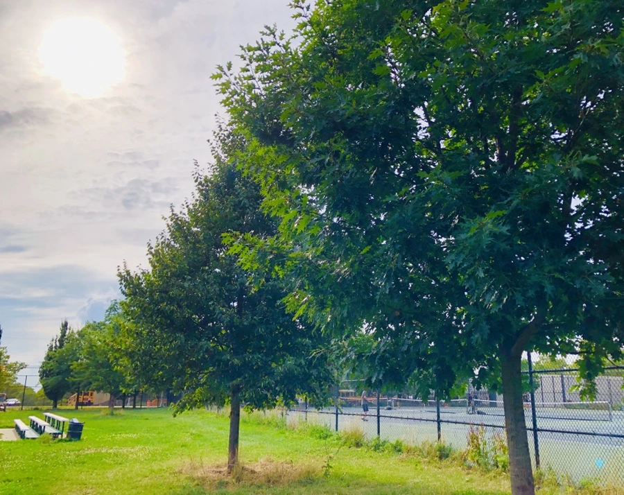 IMG_4342.jpg?type=w966