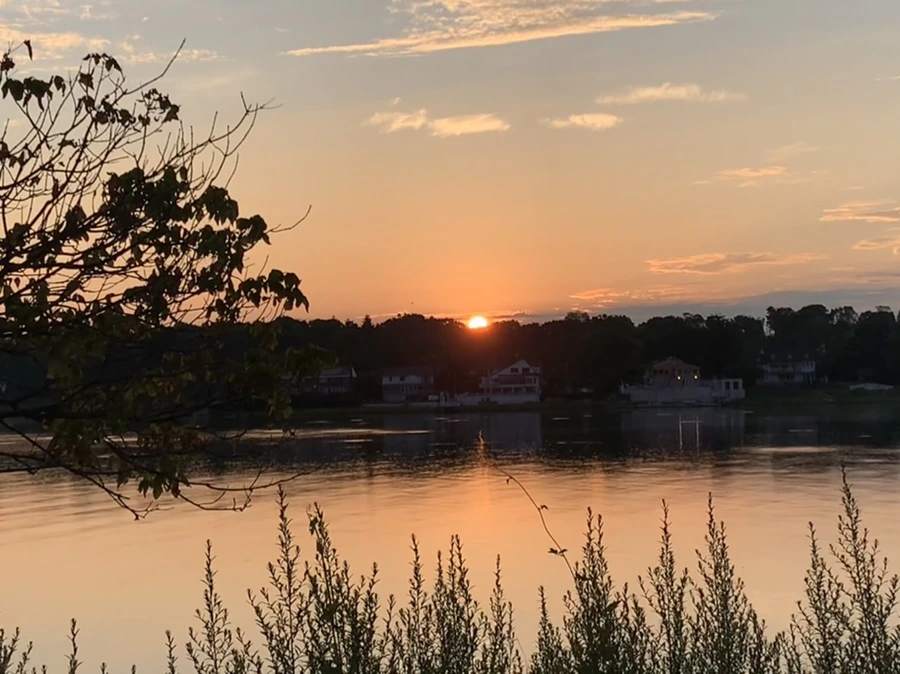 IMG_1256.jpg?type=w966