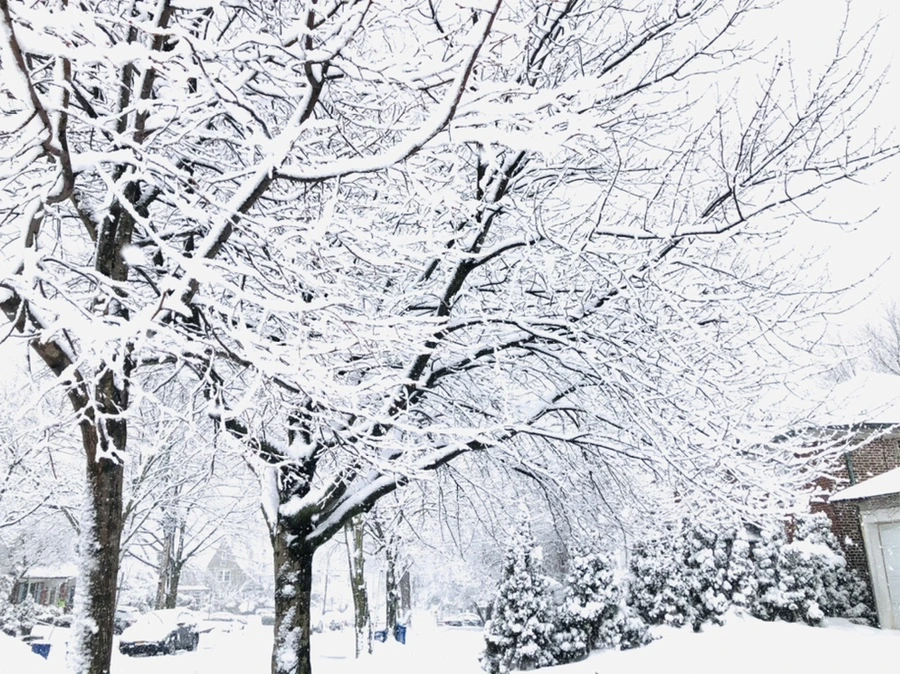 IMG_0953.jpg?type=w966