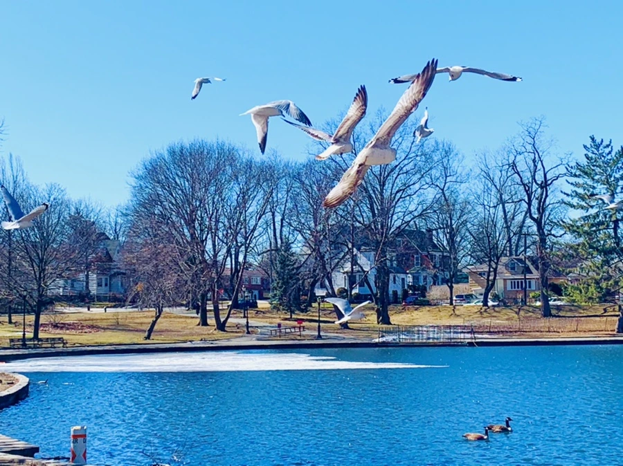 IMG_6675.jpg?type=w966